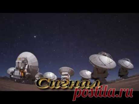 Сигнал | ВИДЕОСМАК