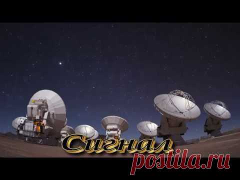 Сигнал | ВИДЕОСМАК