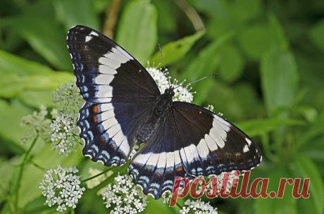 Красивейшие места нашей планеты krasotymira.ru