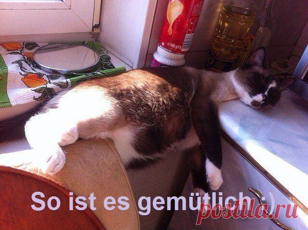 Вот так удобно :) / Изучение немецкого языка