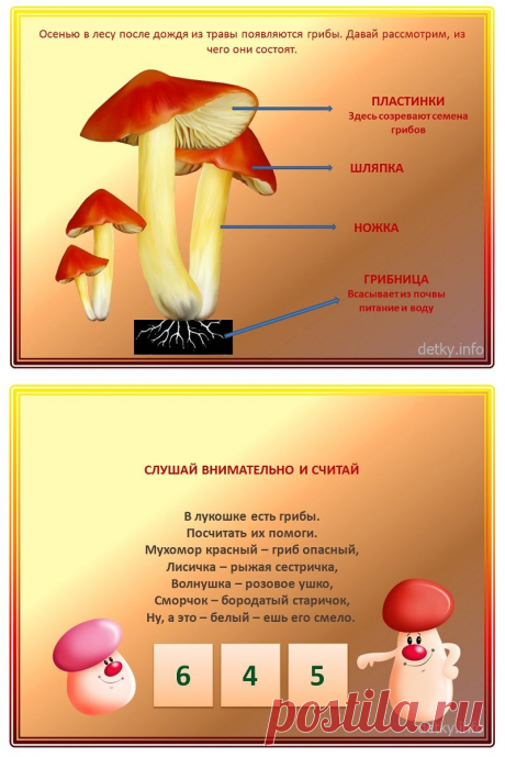 Обучающая презентация для дошкольников «Детям о грибах» | Детки-инфо