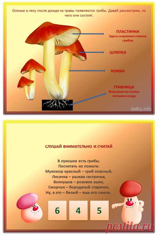 Обучающая презентация для дошкольников «Детям о грибах» | Детки-инфо