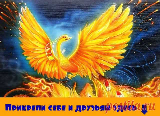 Добрые Пожелания