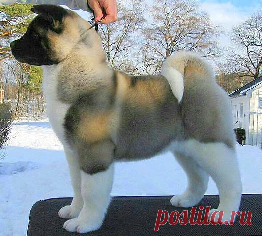 Редкие кадры