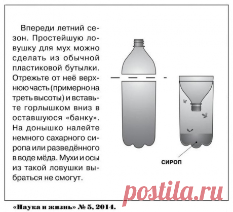 Ловушка для мух из пластиковой бутылки