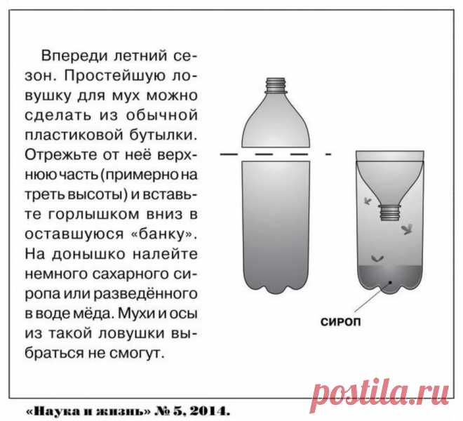 Ловушка для мух из пластиковой бутылки