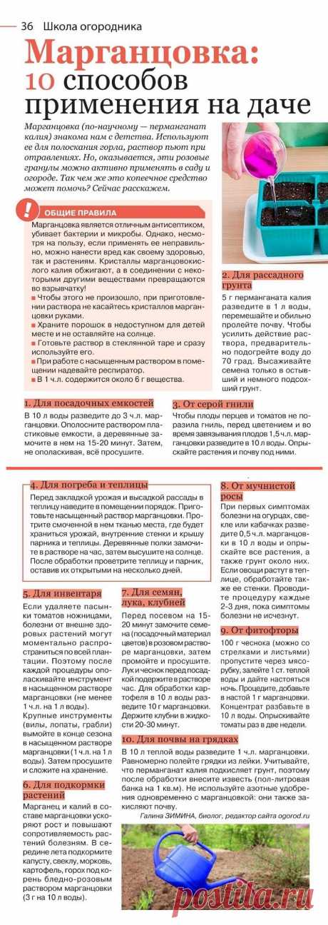 Марганцовка: 10 способов применения на даче