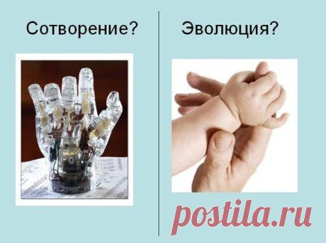 JW Коллекция правдивых ошеломляющих новостей о.