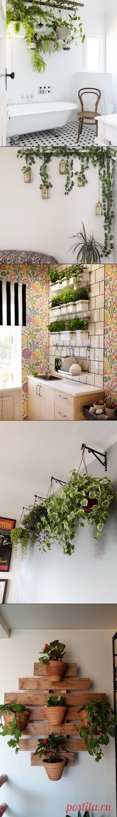 15 Easy Ways To Hang Plants In The House - TheGardenGranny