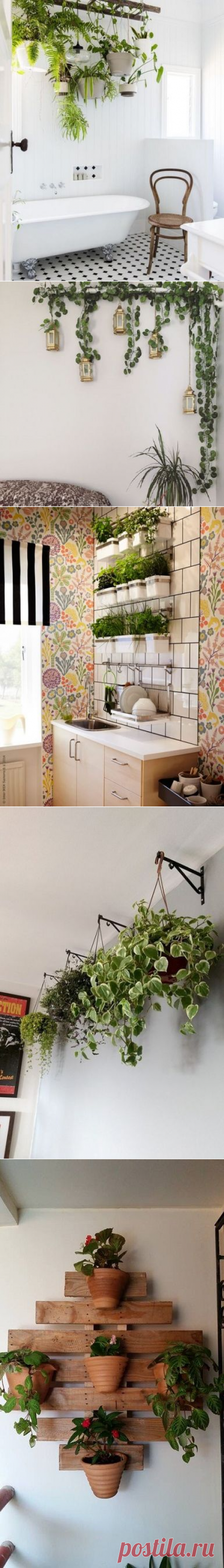 15 Easy Ways To Hang Plants In The House - TheGardenGranny