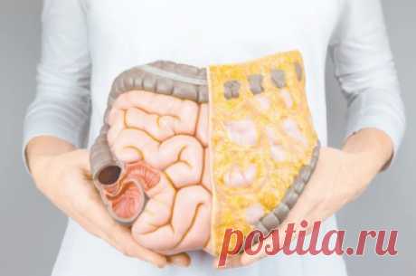 5 правил, которые спасут вам жизнь. Защитники «тыла» О кишечнике говорить особо не принято, это считается даже неприличным. Вот сердце, легкие, мозг — это другое дело. А там что? Отходы жизнедеятельности, да и только. Но так считать может только человек, крайне далекий от медицины. Потому что сегодня доказано, что именно от здоровья кишечника во многом зависит наш иммунитет, и связь между этим органом и мозгом — гораздо крепче, чем можно было бы подумать. Именно лечению ки...