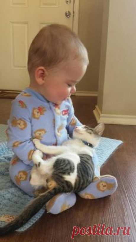 L'amitié entre un jeune enfant et son animal n'a de limite que la disparition de l'animal...la plupart du temps...ce sera une catastrophe pour celui qui restera seul avec l'image de son grand ami imprimée dans sa mémoire pour toujours.