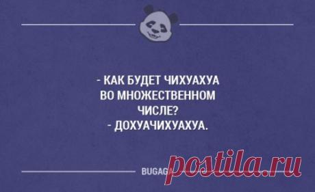 Прикольных картинок и фоток пост (50 шт)