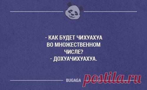 Прикольных картинок и фоток пост (50 шт)