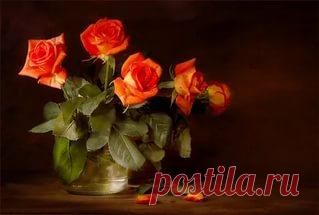 розы на черном фоне живопись: 17 тыс изображений найдено в Яндекс.Картинках