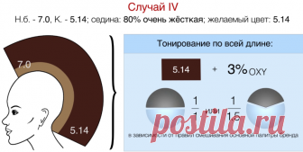 Щетинистая смесь. Метод уплотнения красителя. - Статьи, советы, колористика,окраска волос.