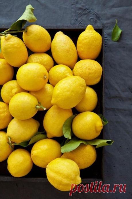 Foliage, leaves, ferns, greenery, undergrowth, overgrown, botanical,