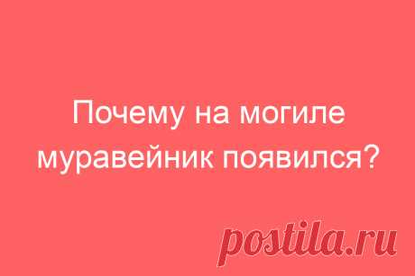 Почему на могиле муравейник появился?