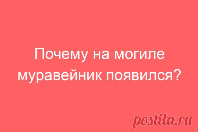 Почему на могиле муравейник появился?