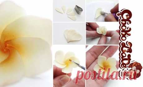 Pinterest: Discover and save creative ideas