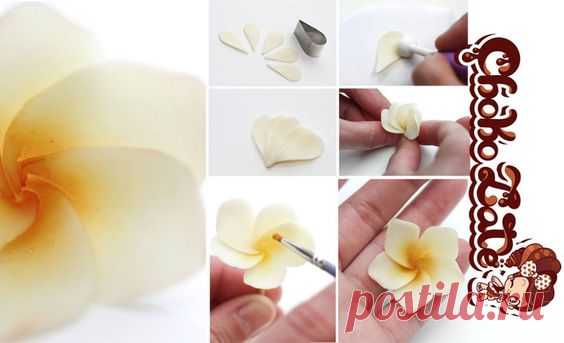 Pinterest: Discover and save creative ideas