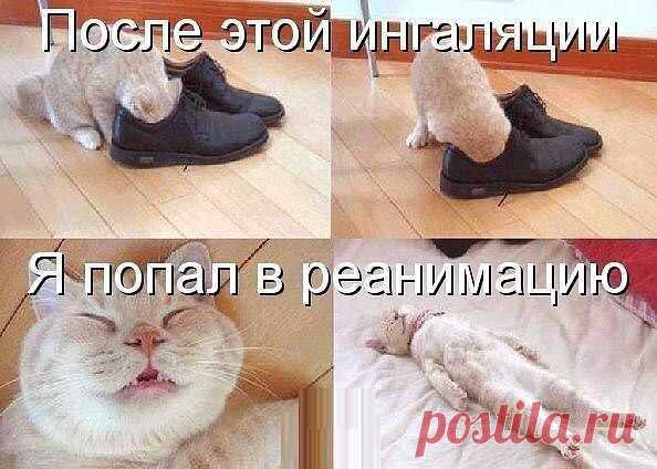 пп
