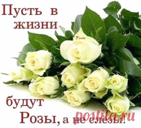 (4) С ДНЕМ РОЖДЕНИЯ