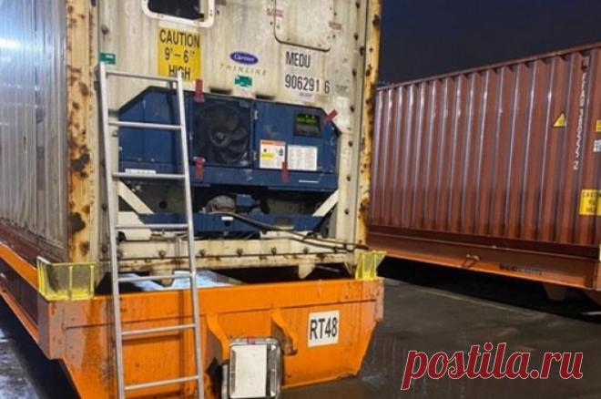 В Чехии в коробках с бананами нашли более полутонны кокаина. Подозрительные пакеты обнаружили при разгрузке поддонов.