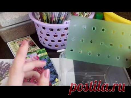 НОВЫЙ способ посева мелких семян. Посев на трафарет. Лайфхак