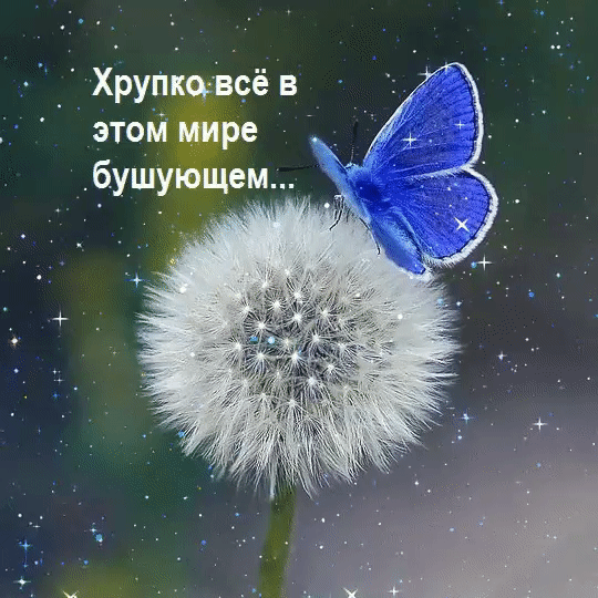 Фотографии TOM RUS - 110 фото в Моем Мире.