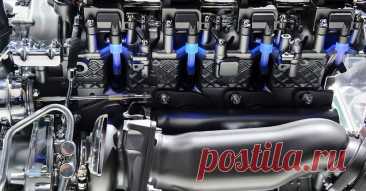 Car Engine Quiz! | Zoo