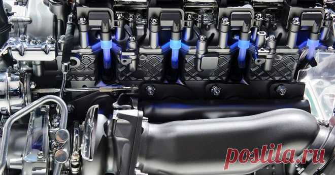 Car Engine Quiz! | Zoo