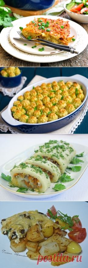 Картофельные запеканки, 30 рецептов с фото. Как приготовить картофельную запеканку?