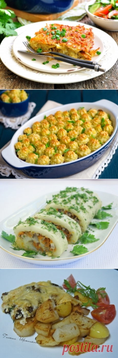 Картофельные запеканки, 30 рецептов с фото. Как приготовить картофельную запеканку?
