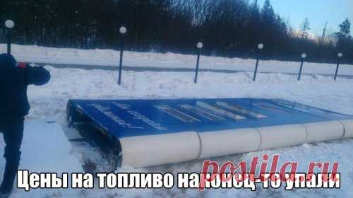 Фото-приколы воскресного дня (40 шт)