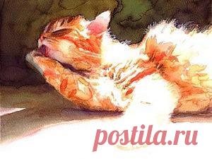 Кошки в искусстве. Акварельные коты художника Alex Carter | Журнал Ярмарки Мастеров Кошки в искусстве. Акварельные коты художника Alex Carter: – Журнал Ярмарки Мастеров о рукоделии, творчестве, дизайне. ✓Читай! ✓Узнавай! ✓Делись!