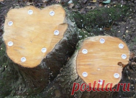 Как избавиться от пней без корчевания, уничтожить пень без выкорчевывания на садовом участке