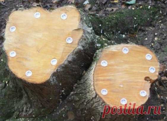 Как избавиться от пней без корчевания, уничтожить пень без выкорчевывания на садовом участке