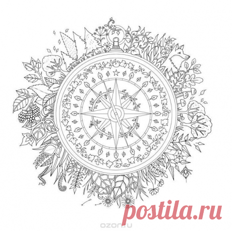 Компас