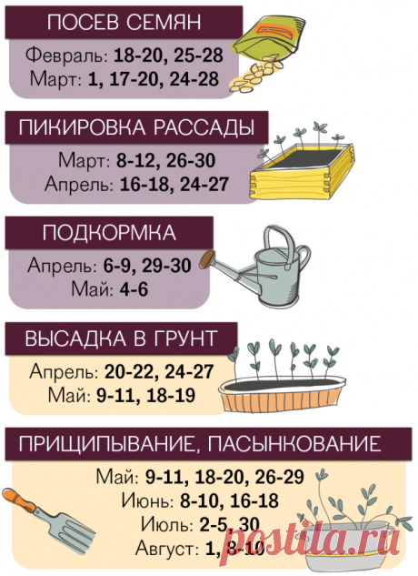 (1) Одноклассники