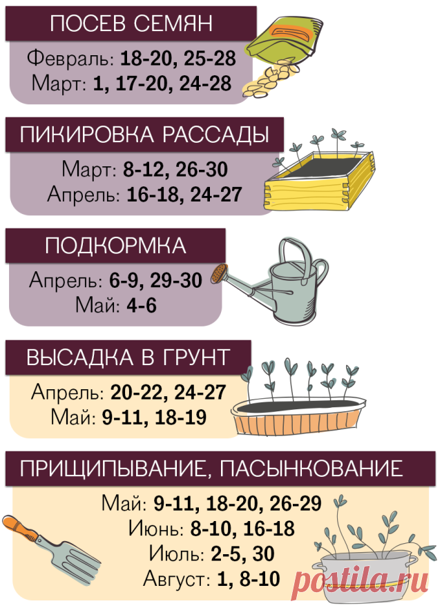 (1) Одноклассники