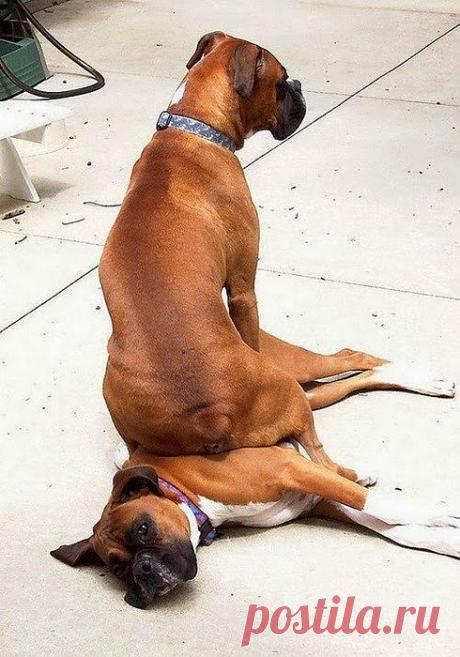 Счастье так иногда неожиданно сваливается,что не успеваешь отскочить в сторону.