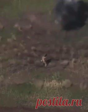 Российский боец чудом увернулся от шквала шрапнели FPV-дрона в упор и попал на видео