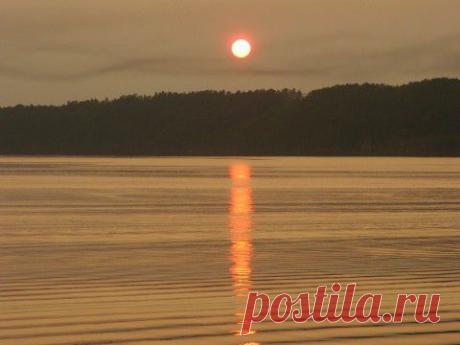 Фотографии сайта «Природа планеты в объективе»