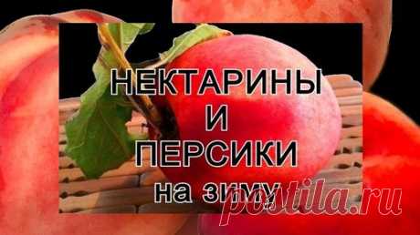 Нектарины и персики на зиму | Грузинская Кухня от Софии и обо всём на свете | Дзен