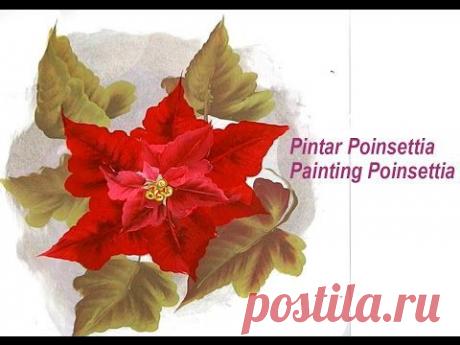 Pintar Poinsetia , flor de pascua . Painting poinsettia one stroke