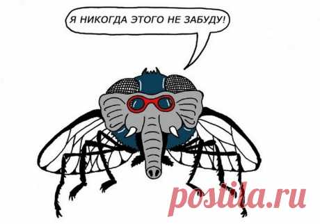 10 русских выражений, непонятных иностранцам: канадский художник нарисовал их буквально и получилось смешно | Супер! | Пульс Mail.ru