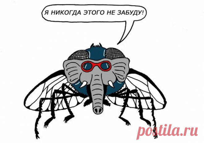 10 русских выражений, непонятных иностранцам: канадский художник нарисовал их буквально и получилось смешно | Супер! | Пульс Mail.ru