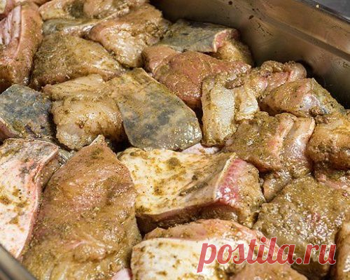 Рецепты шашлыка из толстолобика и сома