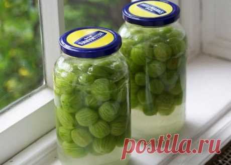 Как приготовить наливку из крыжовника в домашних условиях | Prime Drink алкогольные напитки | Яндекс Дзен
